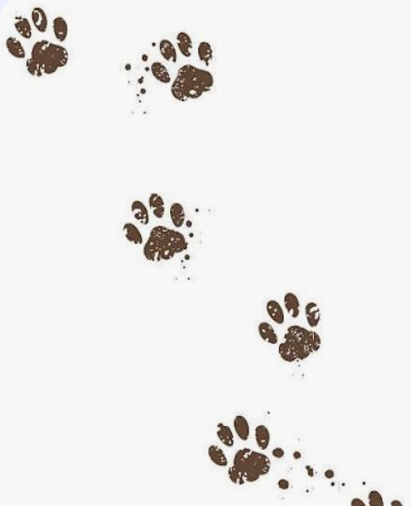 Paw prints in brown ink on a white background.