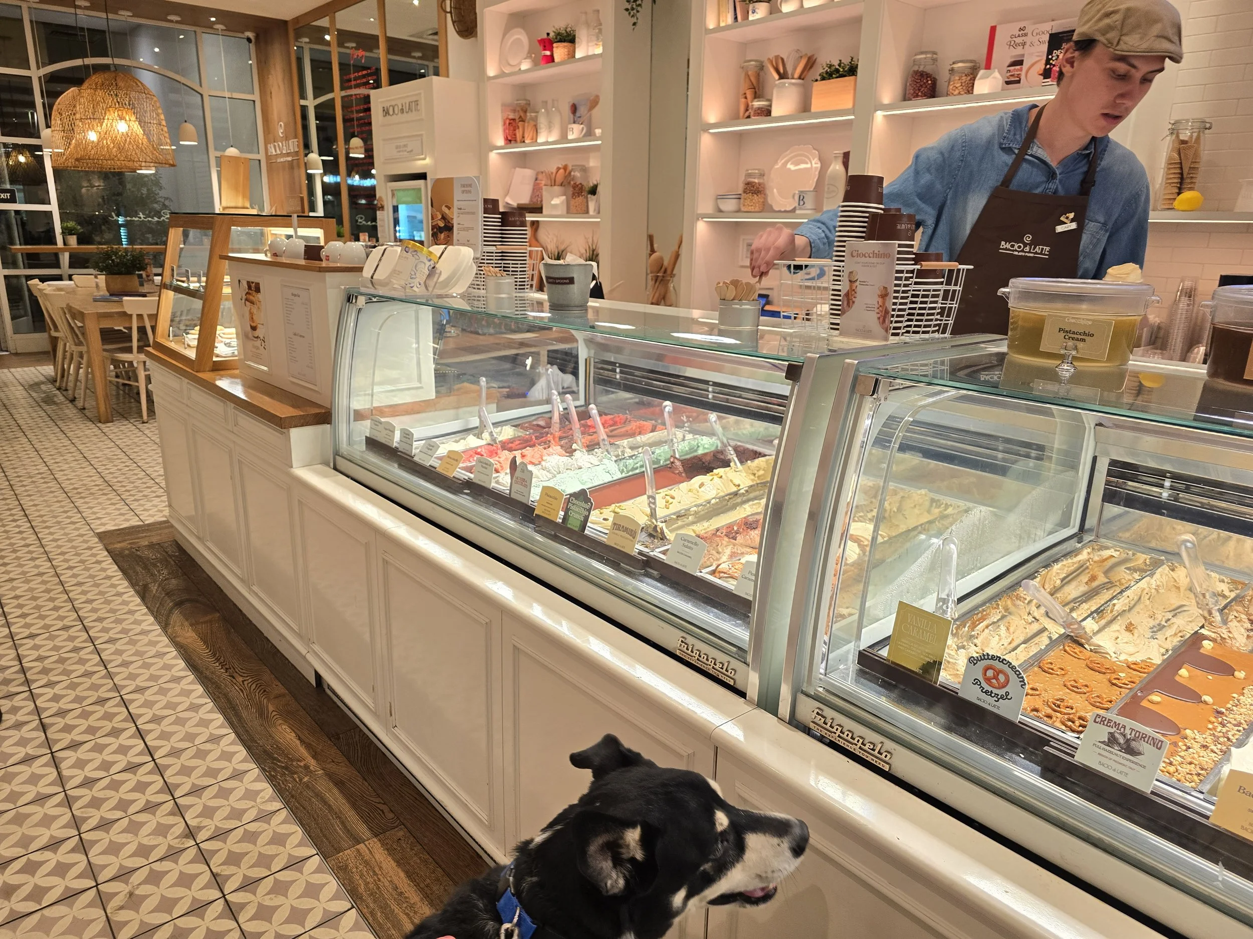 Ice cream display case filled with various flavors, with a person serving ice cream behind the counter, in a modern ice cream shop with decorative shelving and a patterned tile floor, and a black and white dog in the foreground.