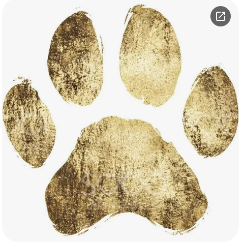Gold-colored paw print with five pads on a white background.