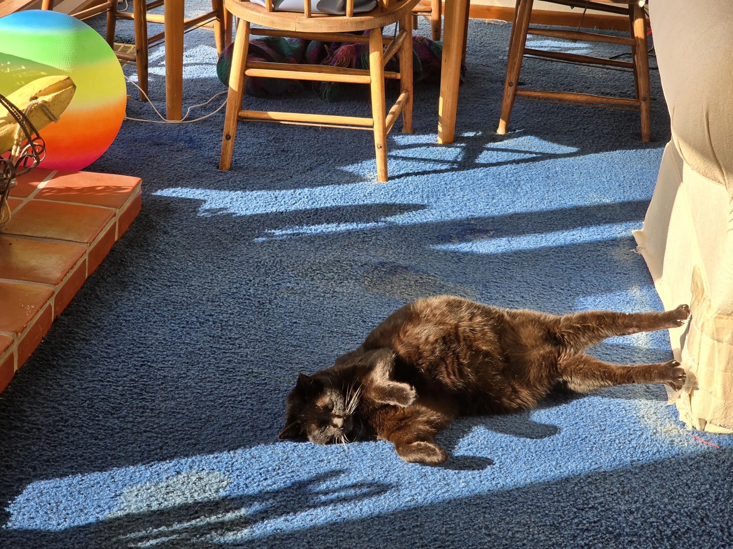 A black cat with green eyes lying on a blue carpeted floor next to a white curtain. There are wire chairs and a table in the background. The shadow of the chairs is cast on the carpet. Part of a colorful beach ball and some bananas on a tiled surface