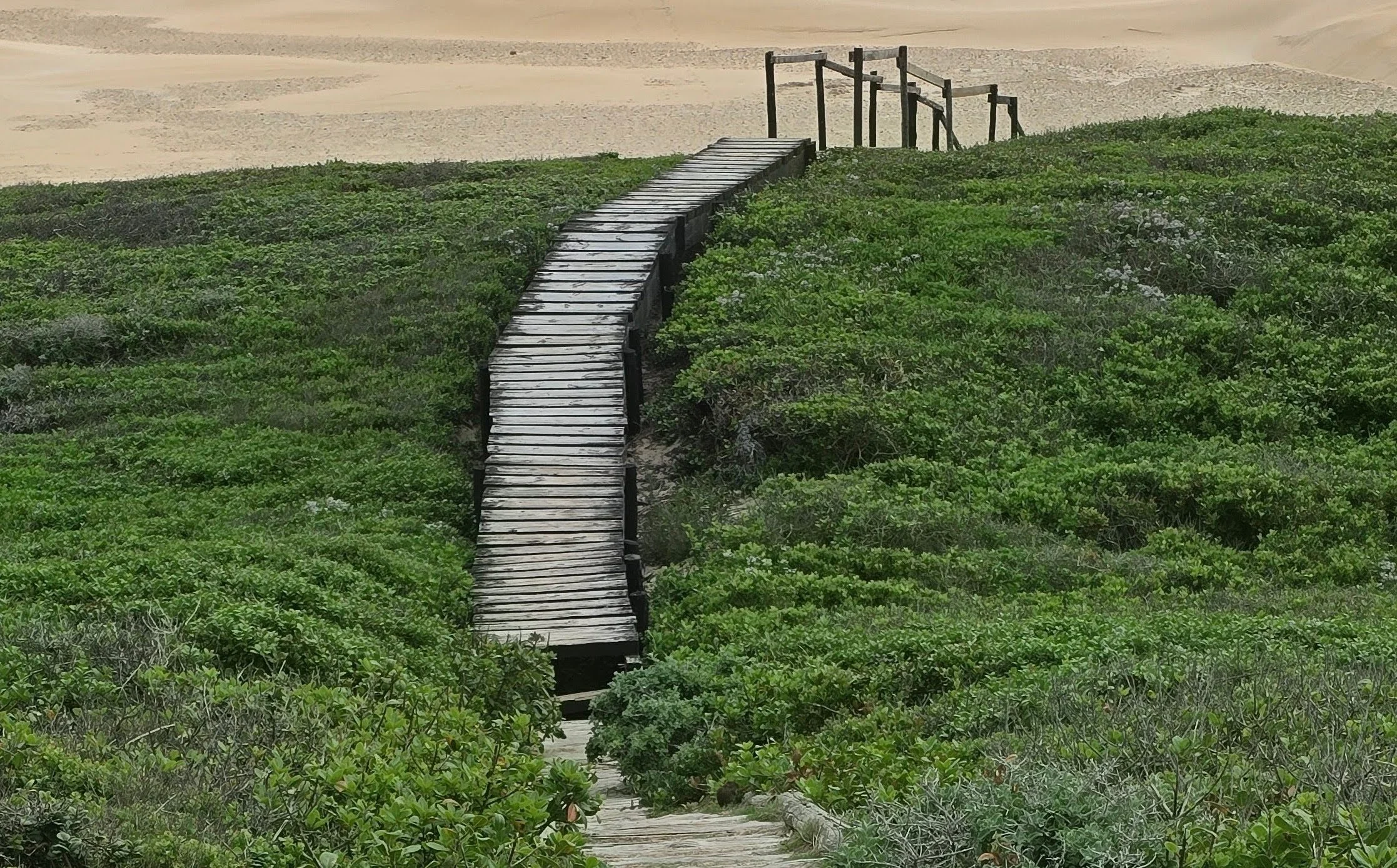 Illustrative image for Kierkegaard quote: "Life can only be understood backwards; but it must be lived forwards"