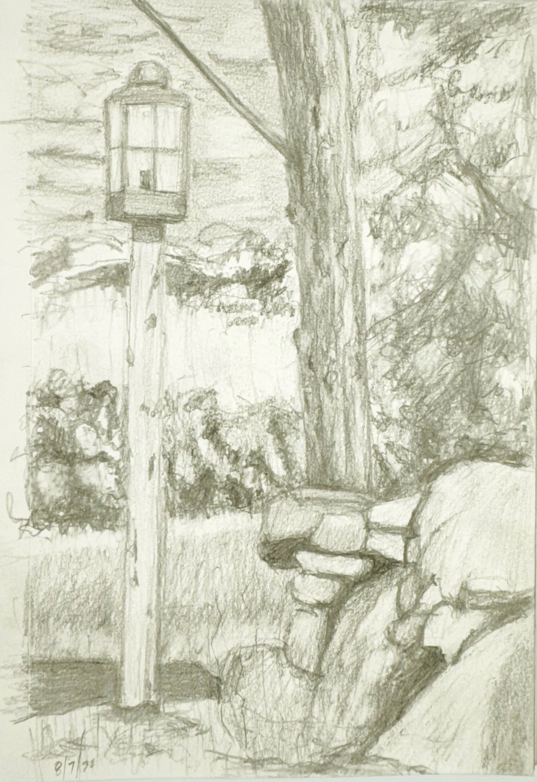 A pencil sketch of a park scene with a large tree, a bench, a lamppost, and smaller trees and bushes in the background.