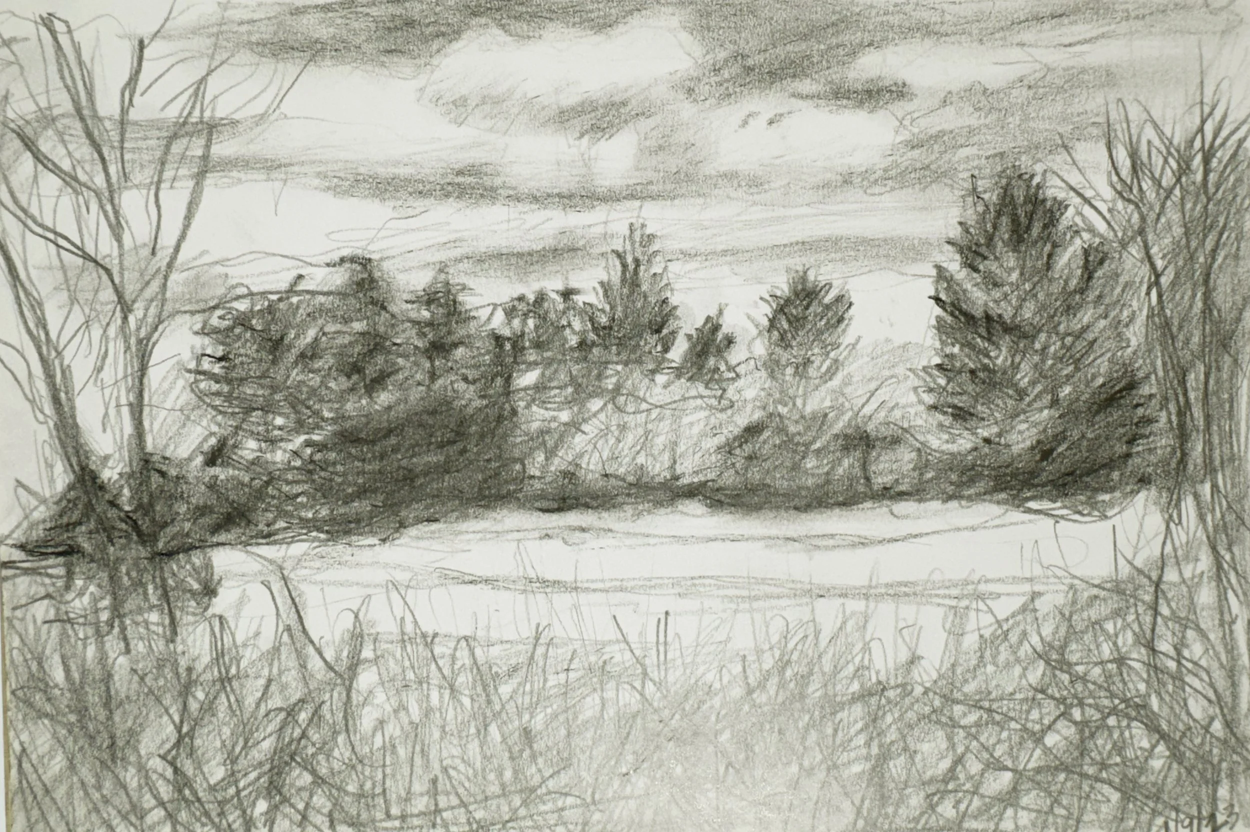 A black-and-white pencil drawing of a landscape scene with trees in the foreground and a cloudy sky with the moon in the background.