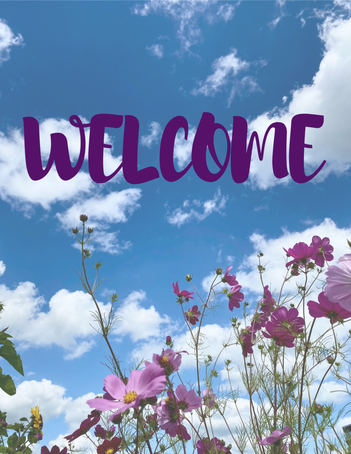 Sky with scattered clouds and pink flowers in the foreground with the word "WELCOME" in purple capital letters across the sky