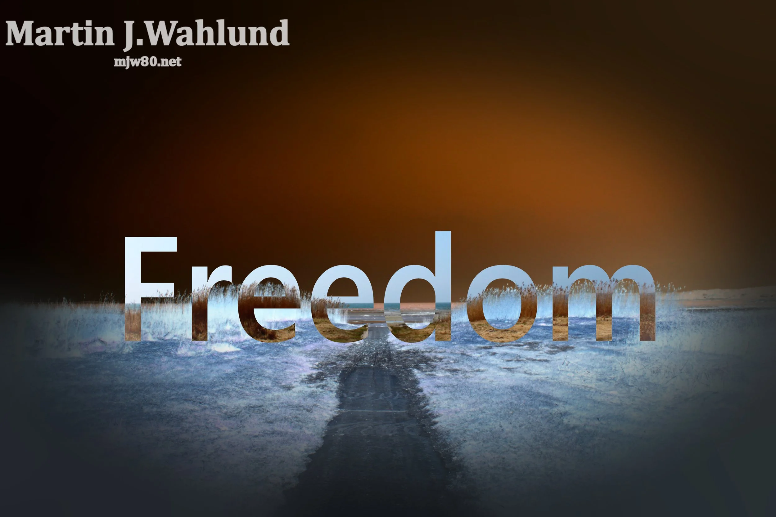 freedom.jpg