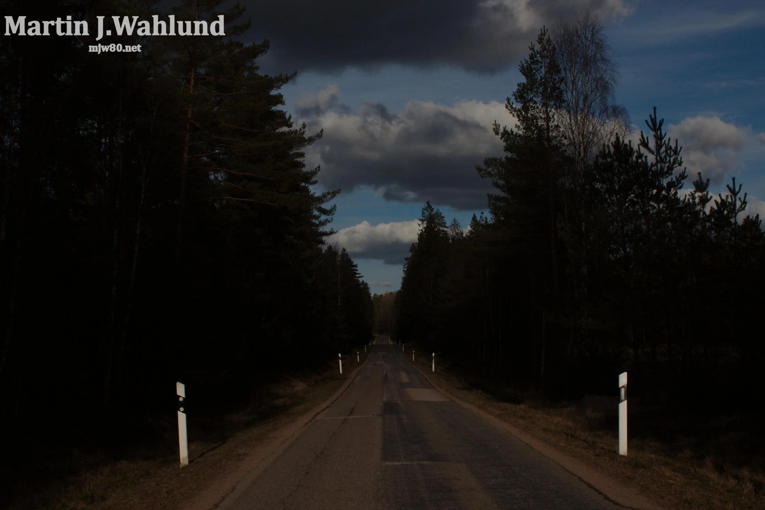 A rural road surrounded by tall trees under a cloudy sky during dusk or dawn.