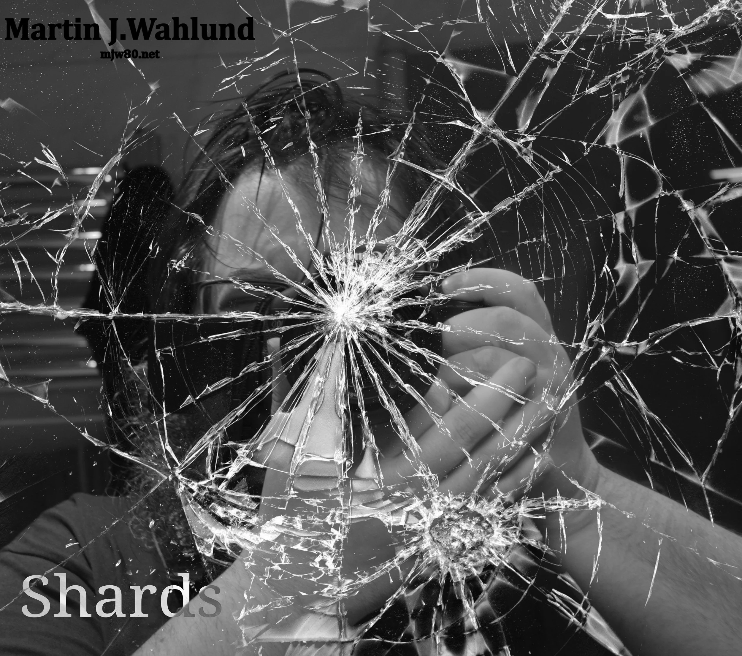 shards.jpg