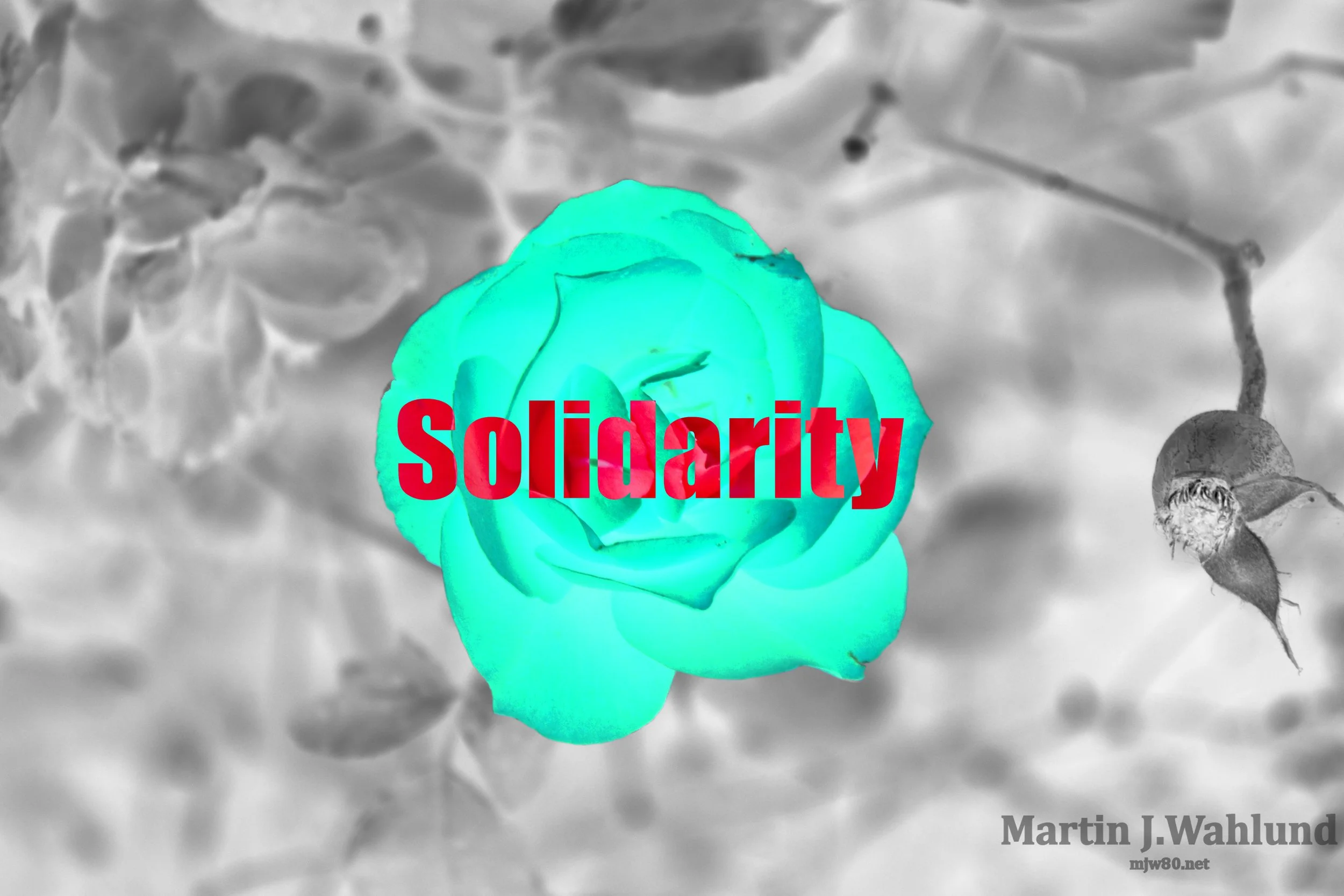 Solidarity.jpg