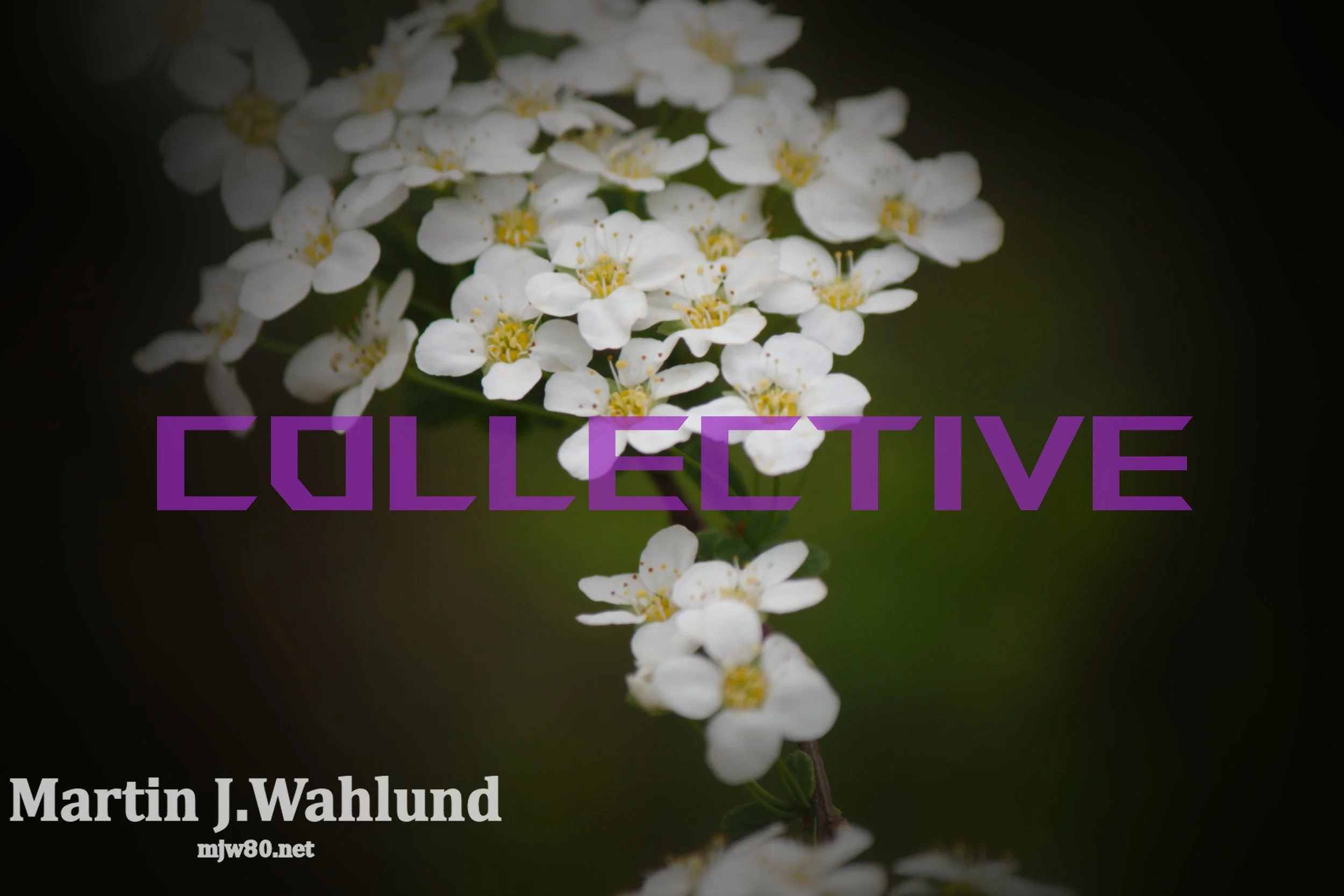 Collective.jpg