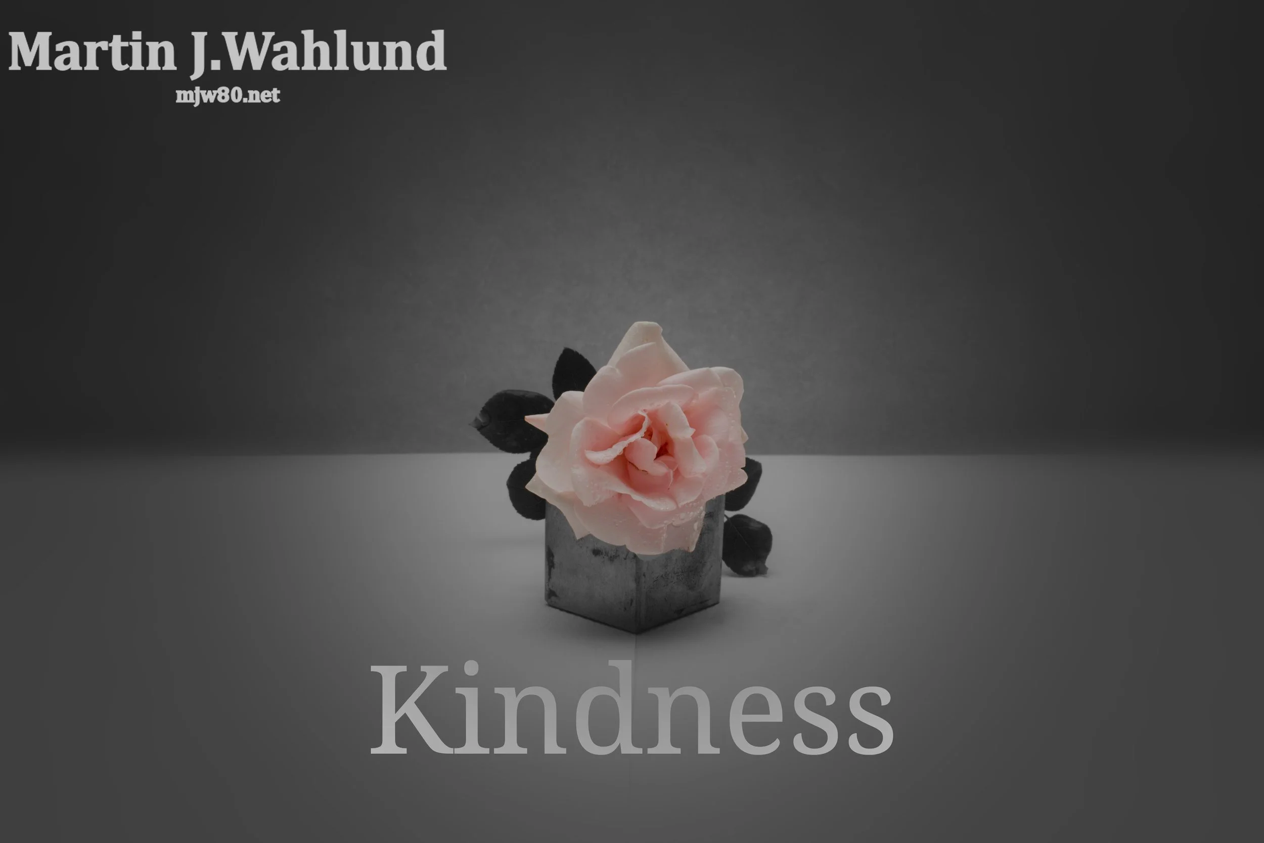 Kindness.jpg