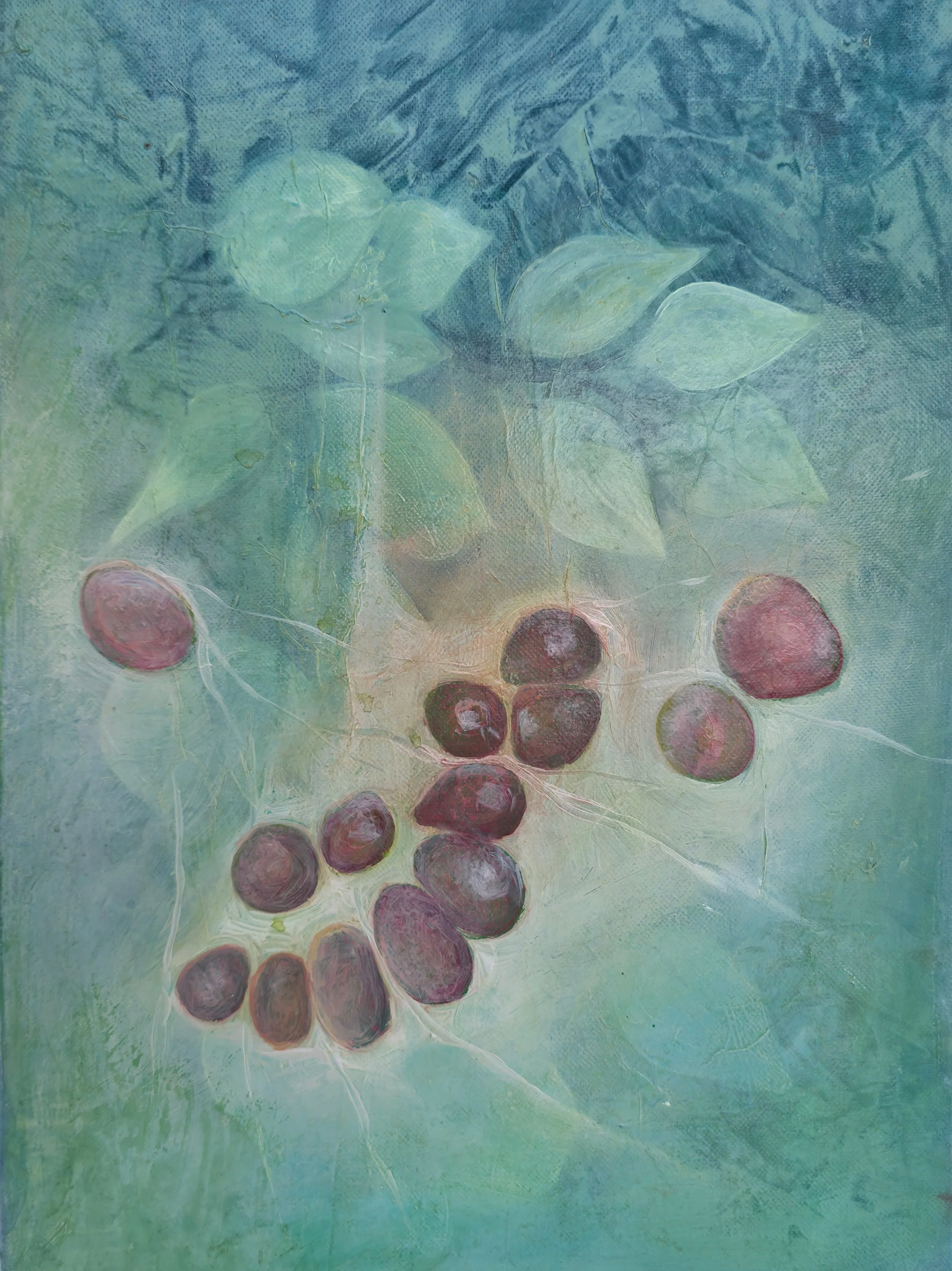 Pomegranate