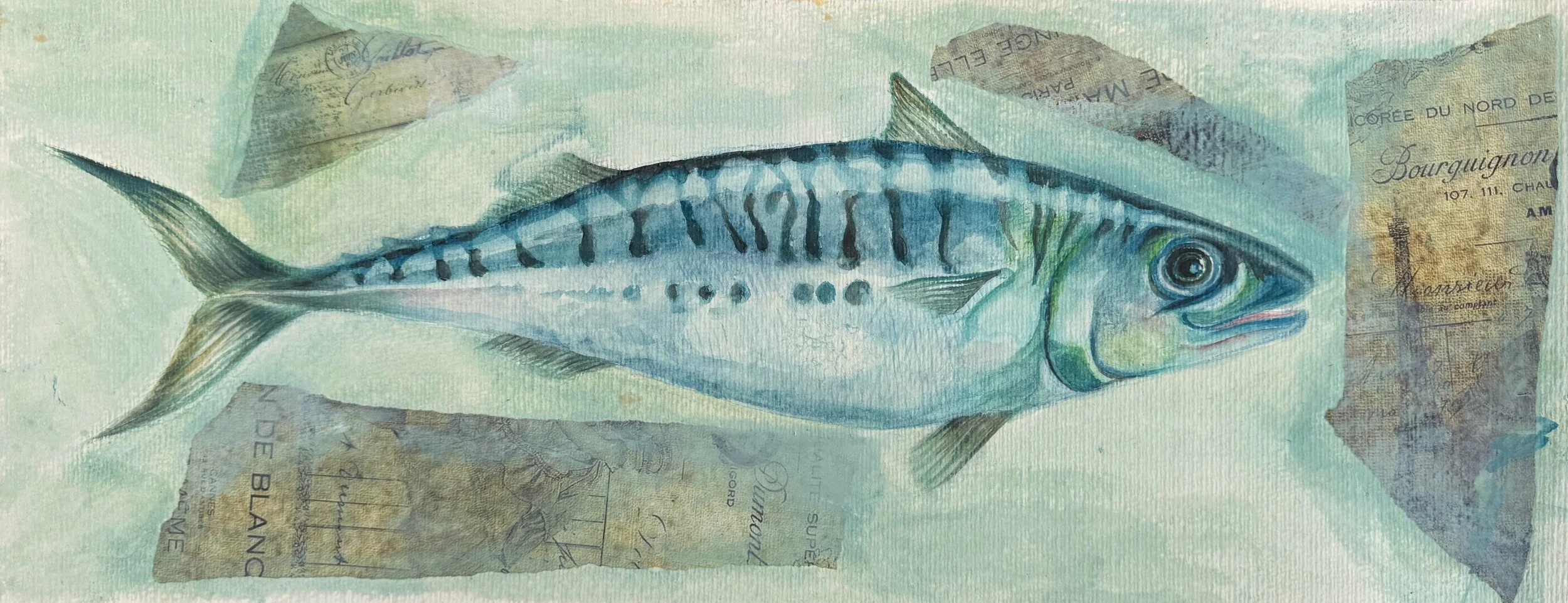 Mackerel