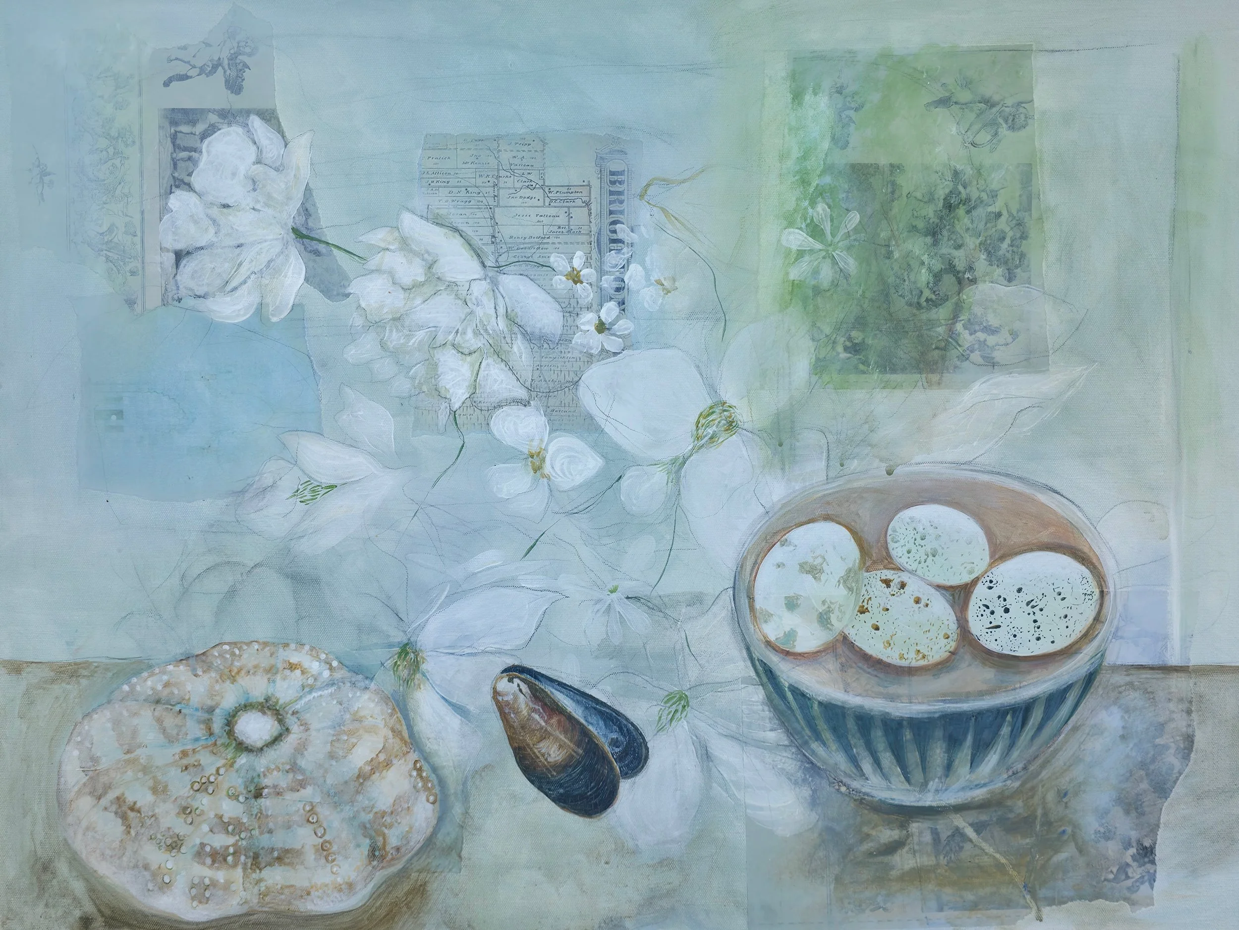 Shells