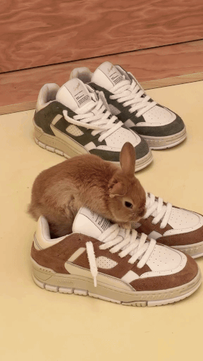ssstik.io_axelarigato_1734471875282-ezgif.com-resize.gif