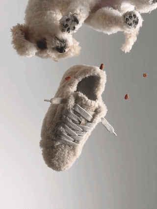 AXELARIGATODOGSHOOTPOVPEPI-3x4-ezgif.com-video-to-gif-converter.gif