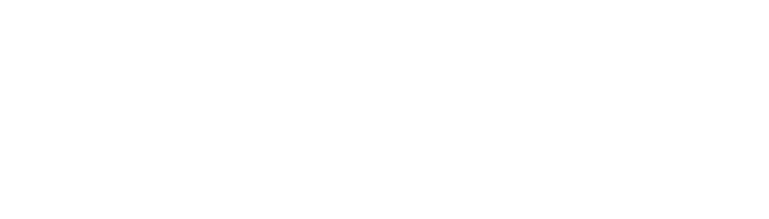 The Value Model Institute