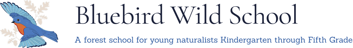 Bluebird Wild School