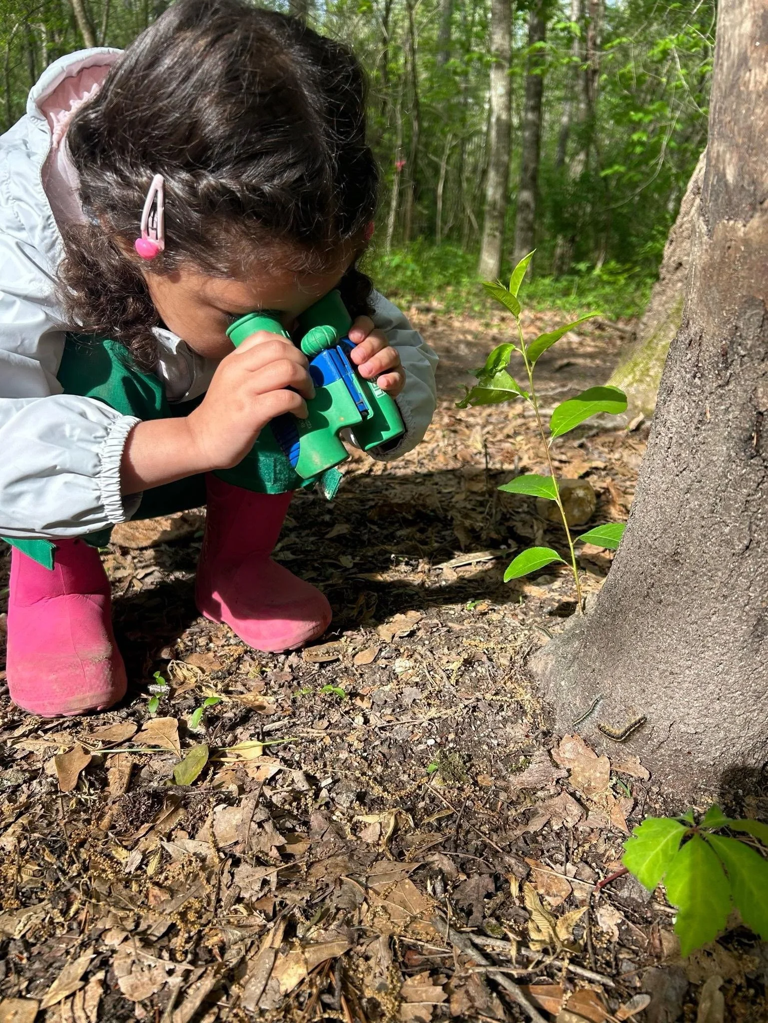 A young girl with curly brown hair, pink rain boots, and a white jacket is using a small green and blue binoculars to look closely at a tiny plant growing near a tree in a forest.