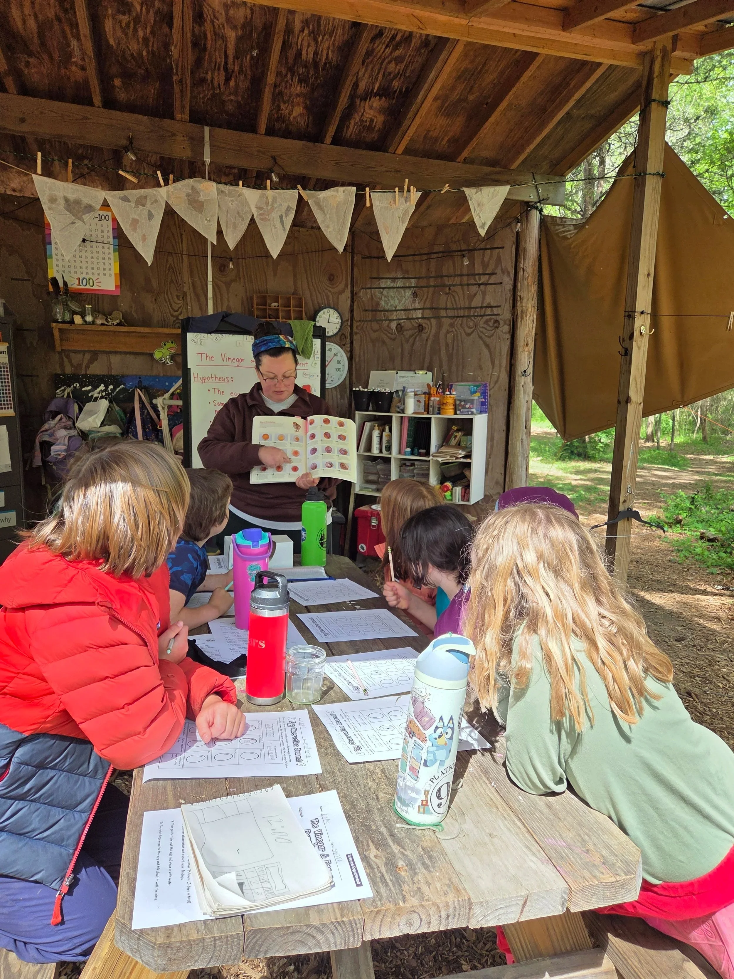 A group of children sitting at a long wooden table outdoors inside a shelter. A woman is standing at the end of the table, holding an educational book about chicken egg development.