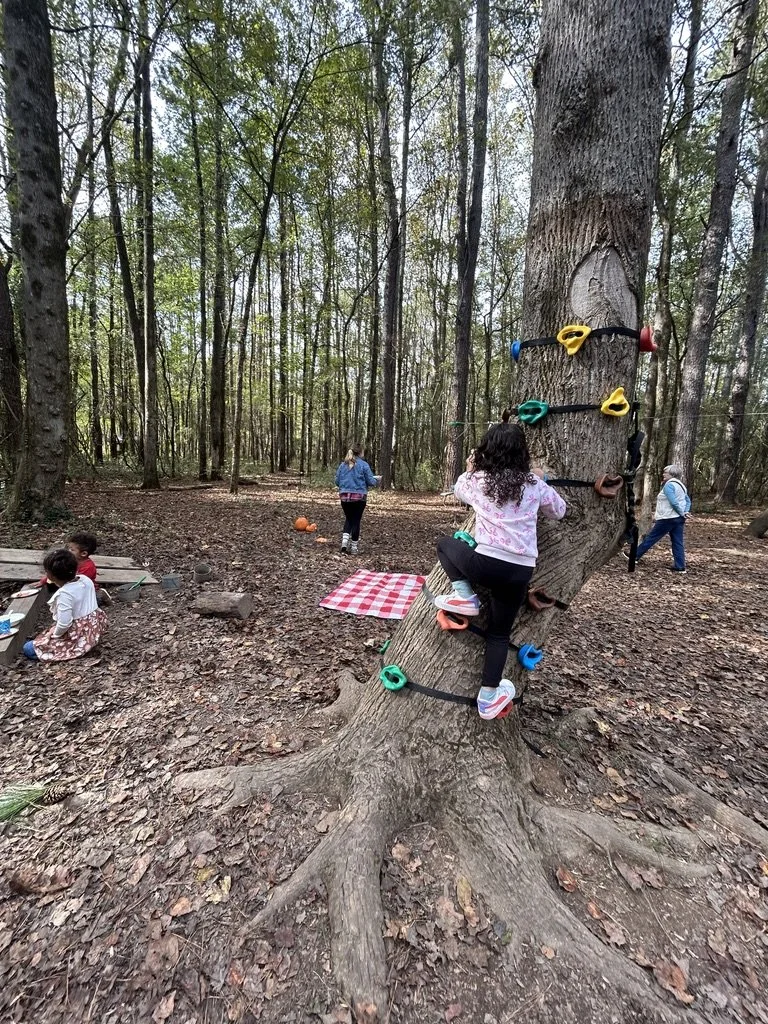 Children playing in a wooded area with one girl climbing a tree using colorful climbing holds attached to the trunk, and others walking or sitting nearby.