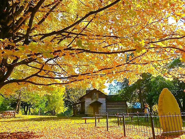 Autumn scene with a large tree with yellow leaves, a wooden house or cabin, a grassy area with fallen leaves, and a small fenced-off area with a large yellow stone or monument.