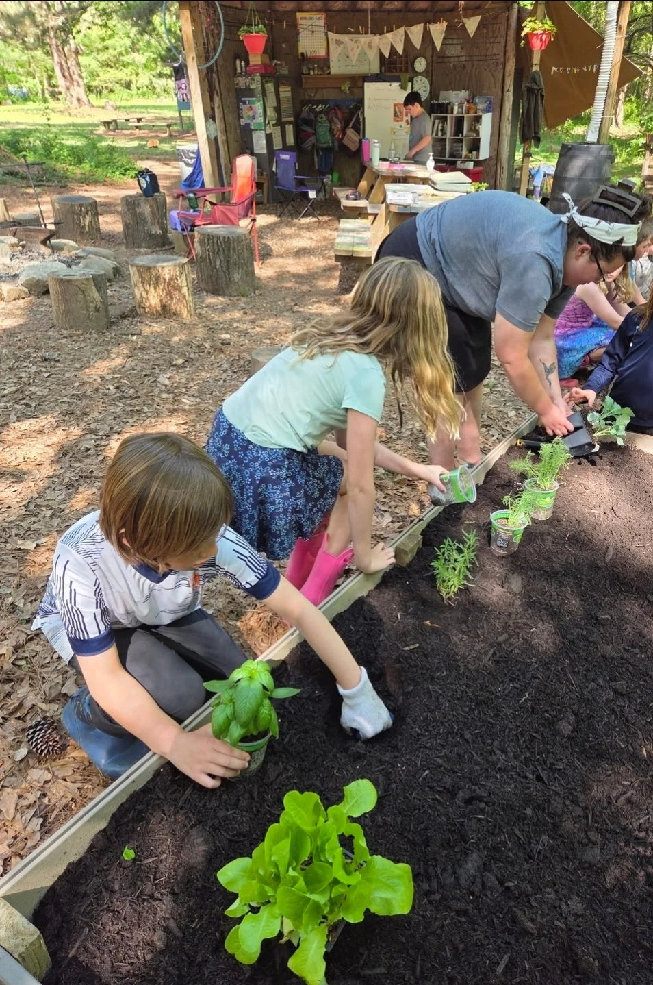Children and an adult planting seedlings in a garden bed outside, with a wooden shed, chairs, and trees in the background.