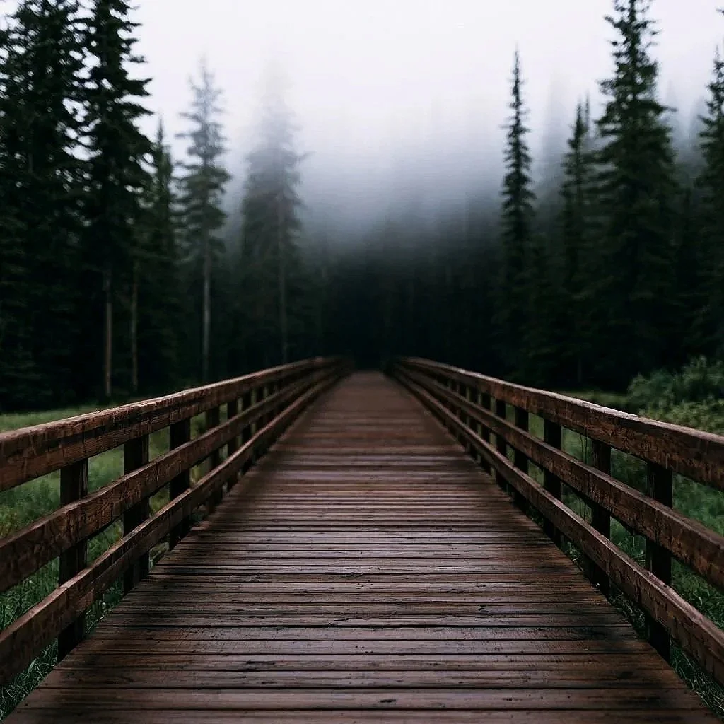A wooden bridge extending into a foggy forest with tall evergreen trees, the distance fading out of focus.