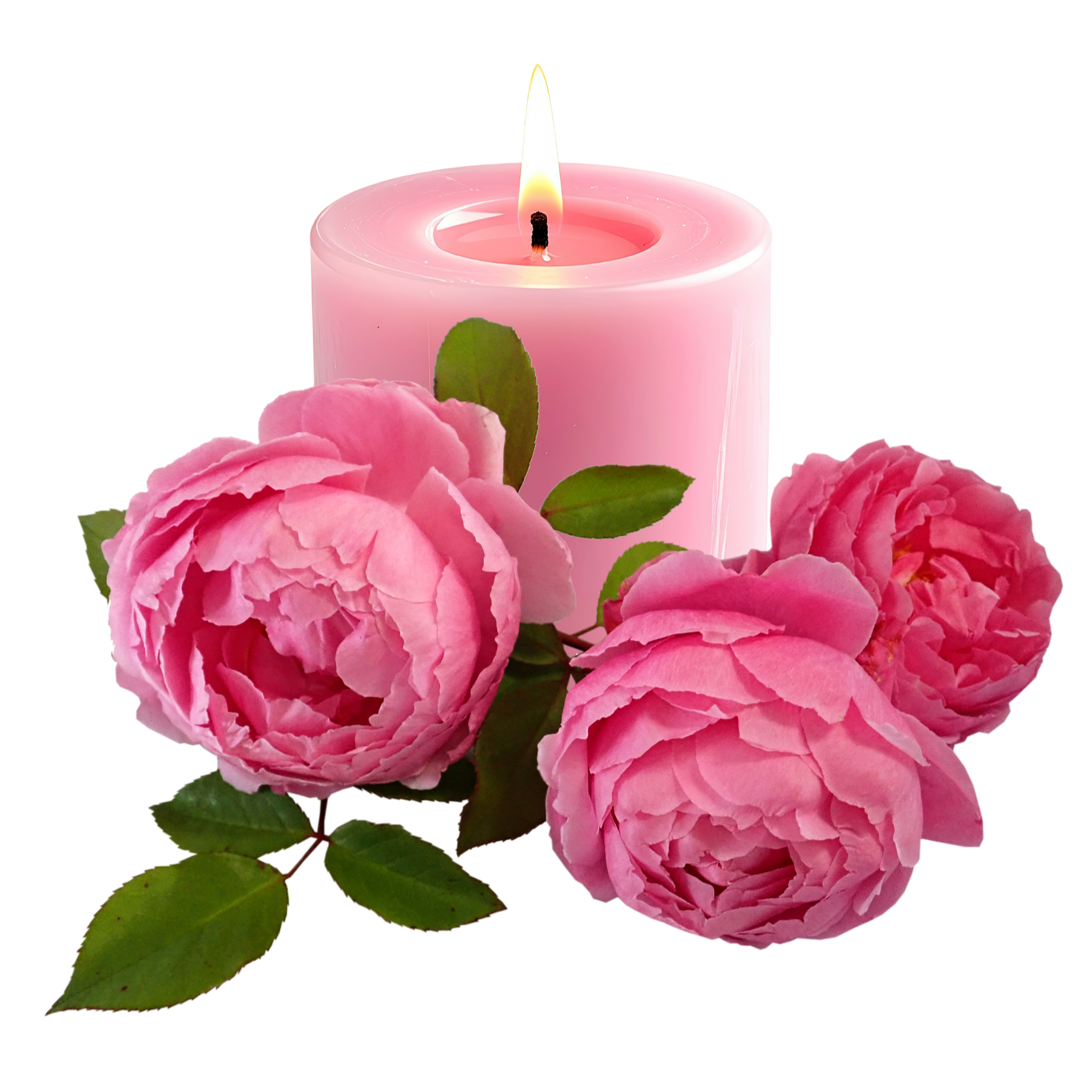 Pink candle with a lit flame surrounded by pink peony flowers and green leaves.
