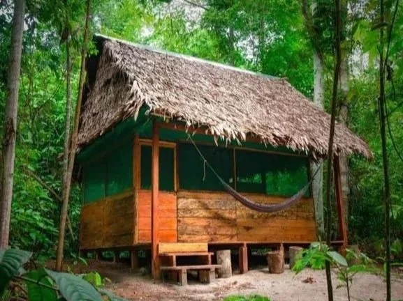 A small wooden hut with a thatched roof surrounded by dense green forest.