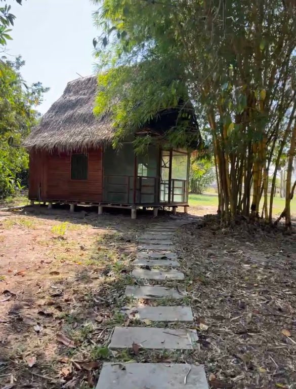 A small wooden house on stilts with a thatched roof, surrounded by trees, and a stone pathway leading to the entrance.