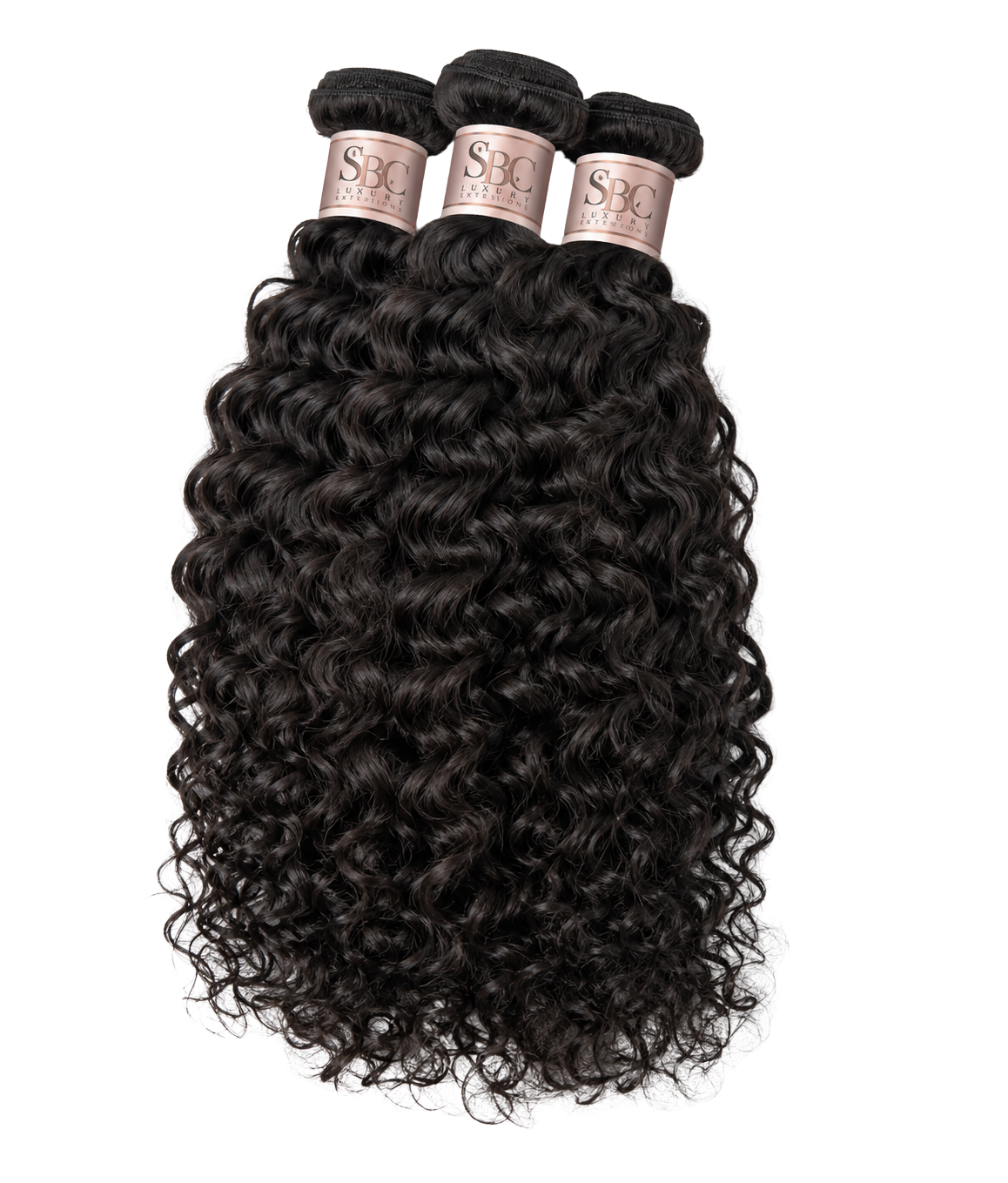 Burmese Curly