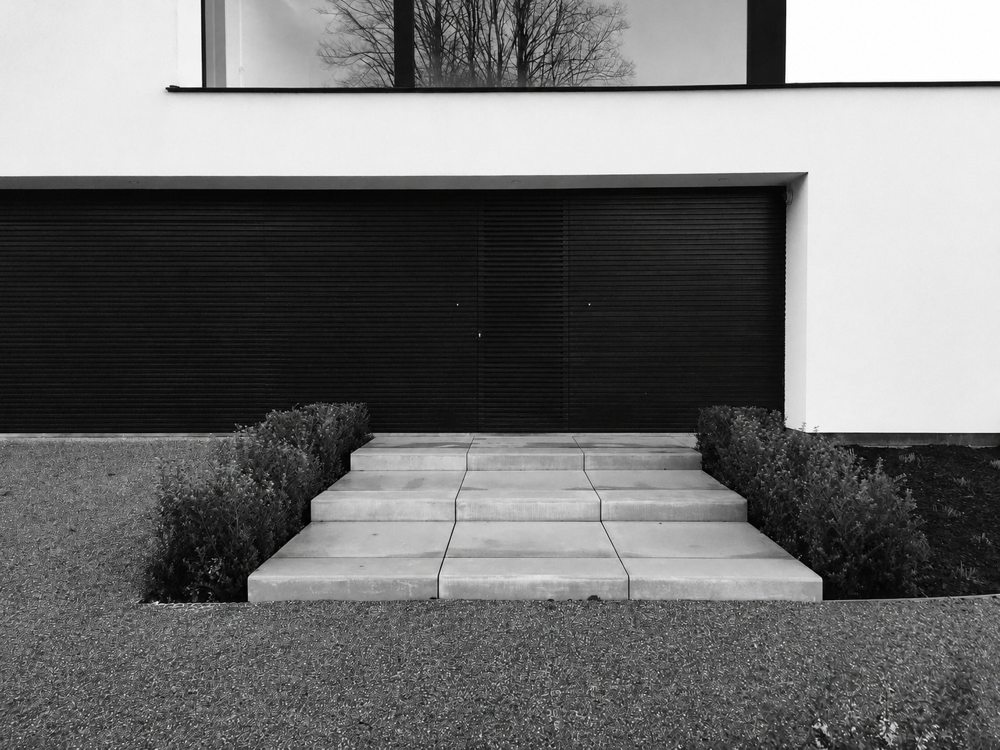 Black-and-white photo of concrete steps leading to a modern house entrance with dark blinds and landscaped shrubs.
