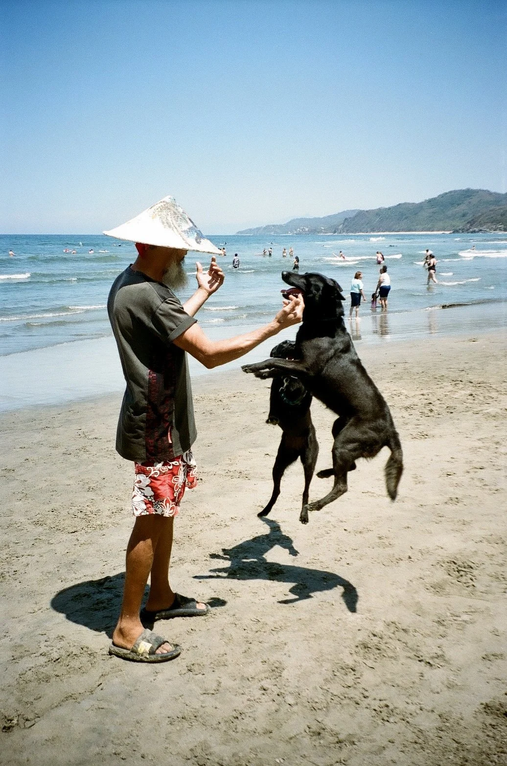 twodog mexico  copy.jpg