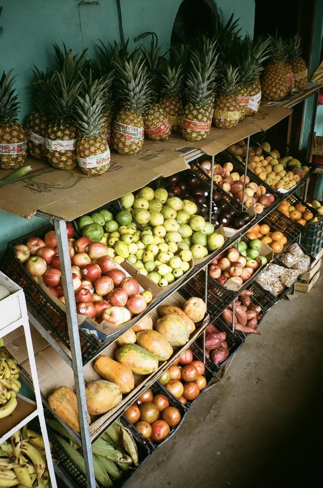 fruit market mexico.jpg