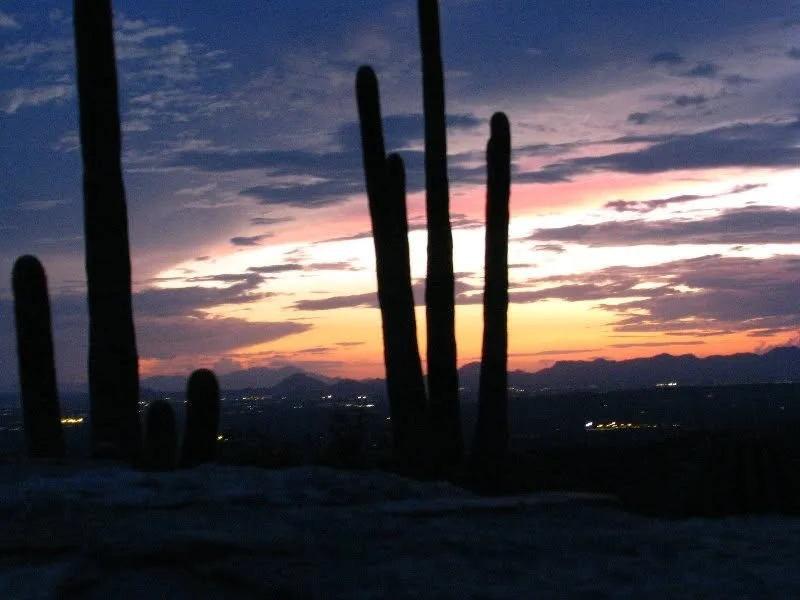 Silhouettes of tall cacti against a colorful sunset sky with clouds and distant mountains.