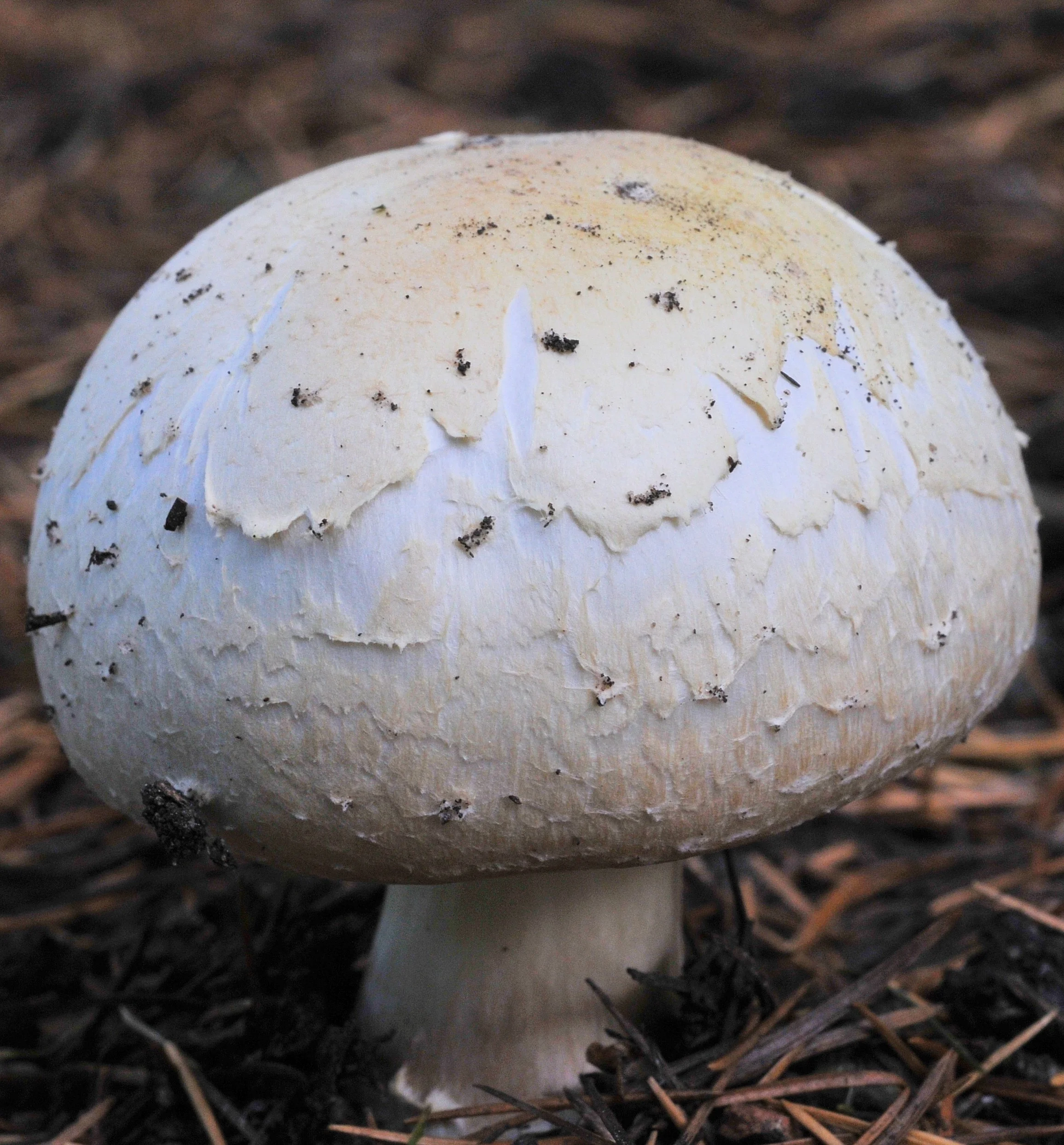 DSC_2310.JPG