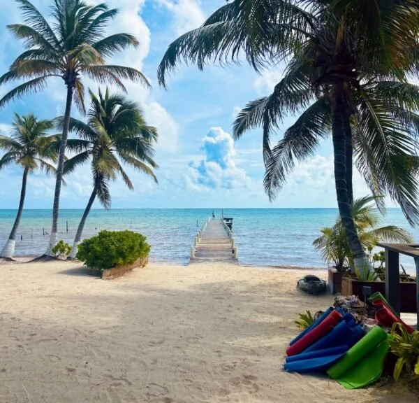 Surf Yoga Beer Belize: A Biopsychosocial Adventure in Tropical Connection