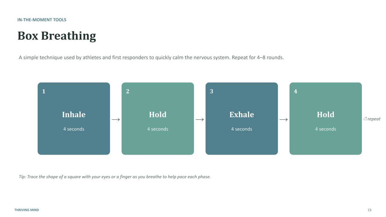 Thriving_Mind_Anxiety_Webinar.pptx (12).png