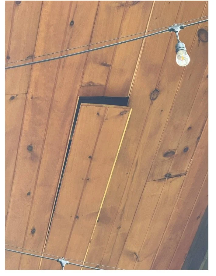 deck ceiling2.jpg