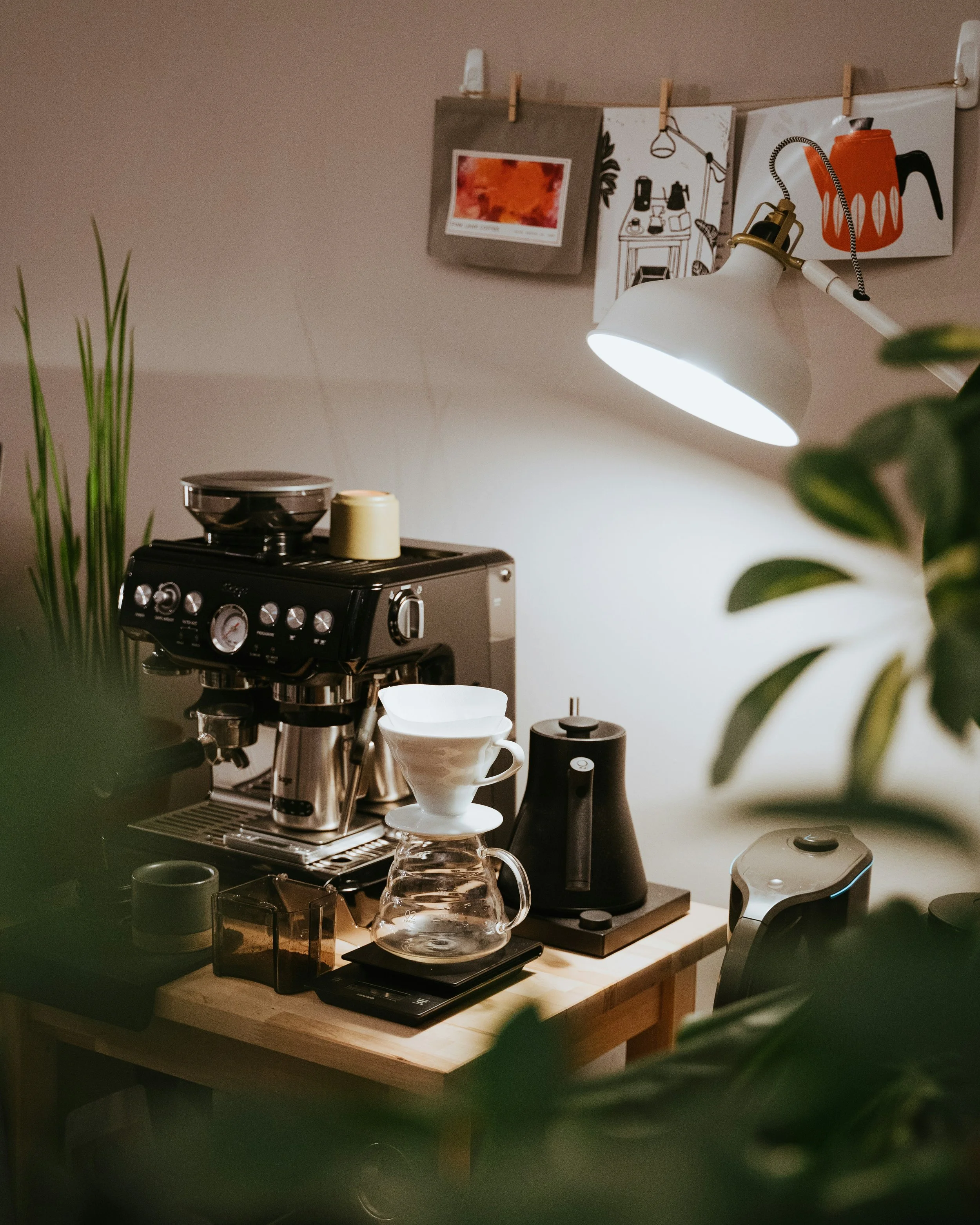 coffee trader drippers molinos hervidores