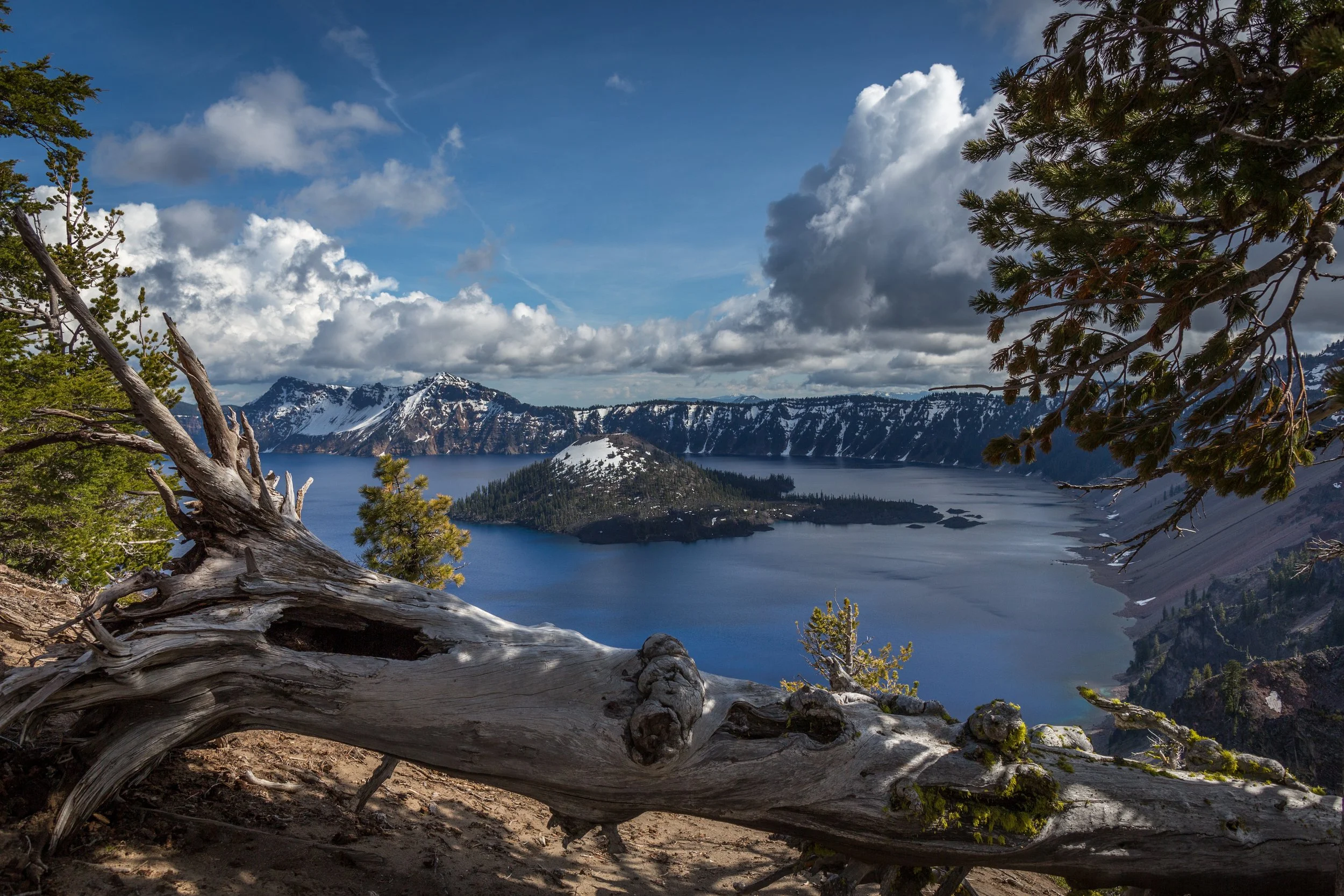 Oregon-39.jpg