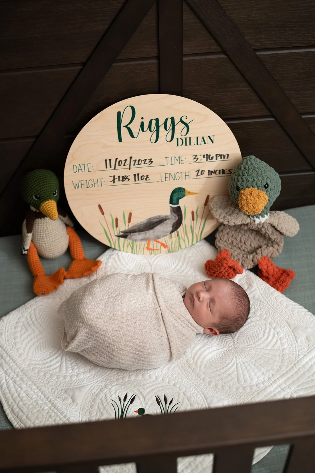 A newborn baby wrapped in a beige blanket, sleeping in a crib with a white quilt featuring duck and nature embroidery, next to a decorative wooden plaque with the name Riggs DILAN, birth date, weight, and length, surrounded by two handmade plush duck