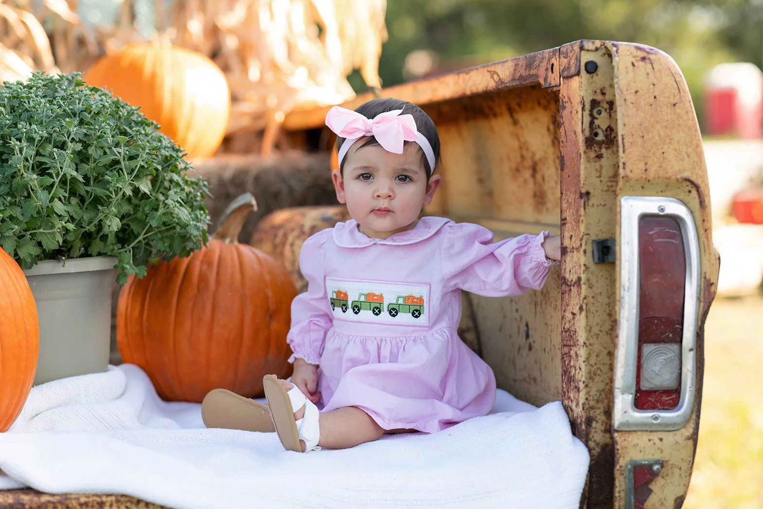 Top 3 Pumpkin Patches Near Montgomery, TX for Fall Family Fun
