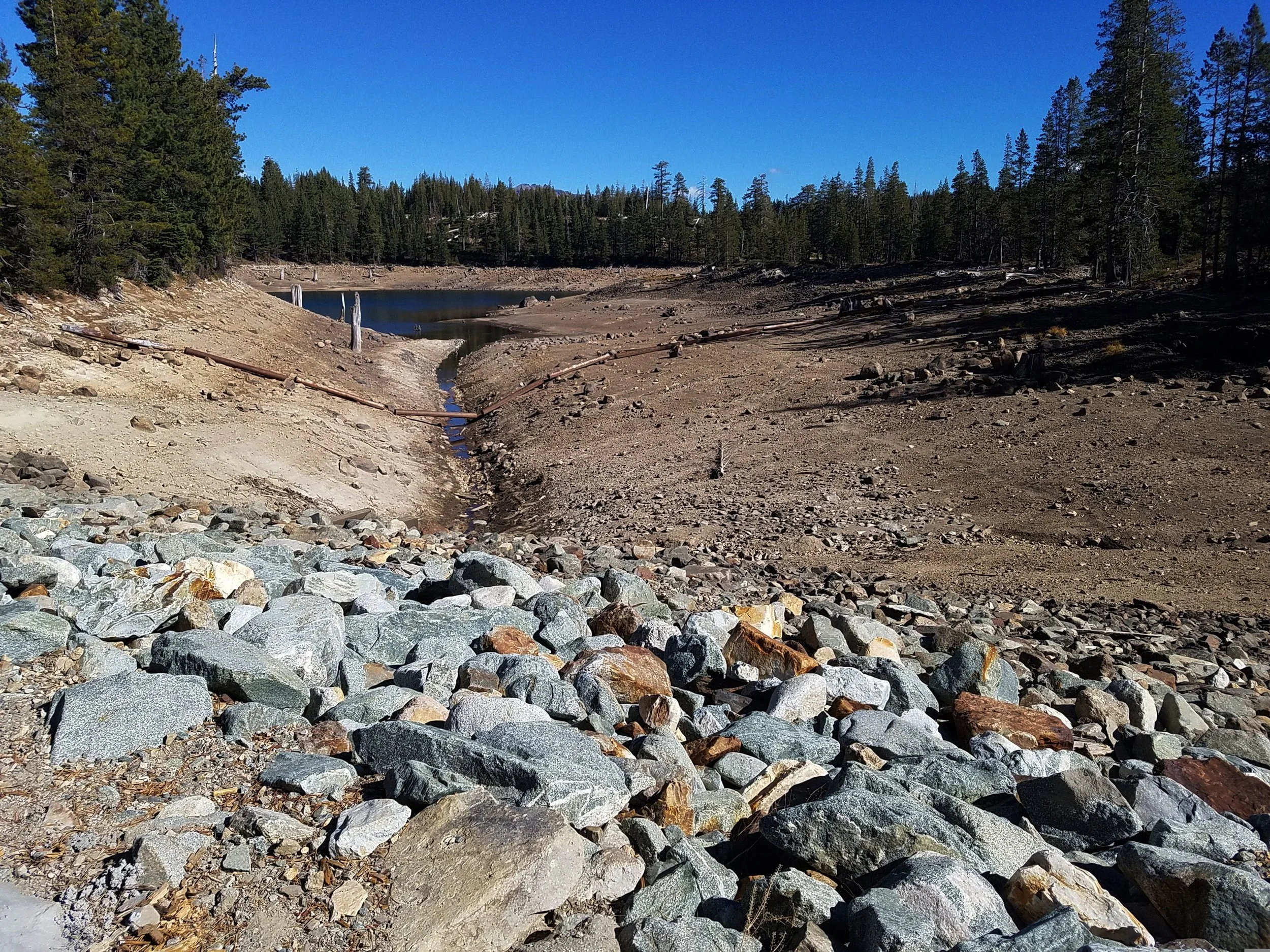 lisaredfern-drought-3803688.jpg