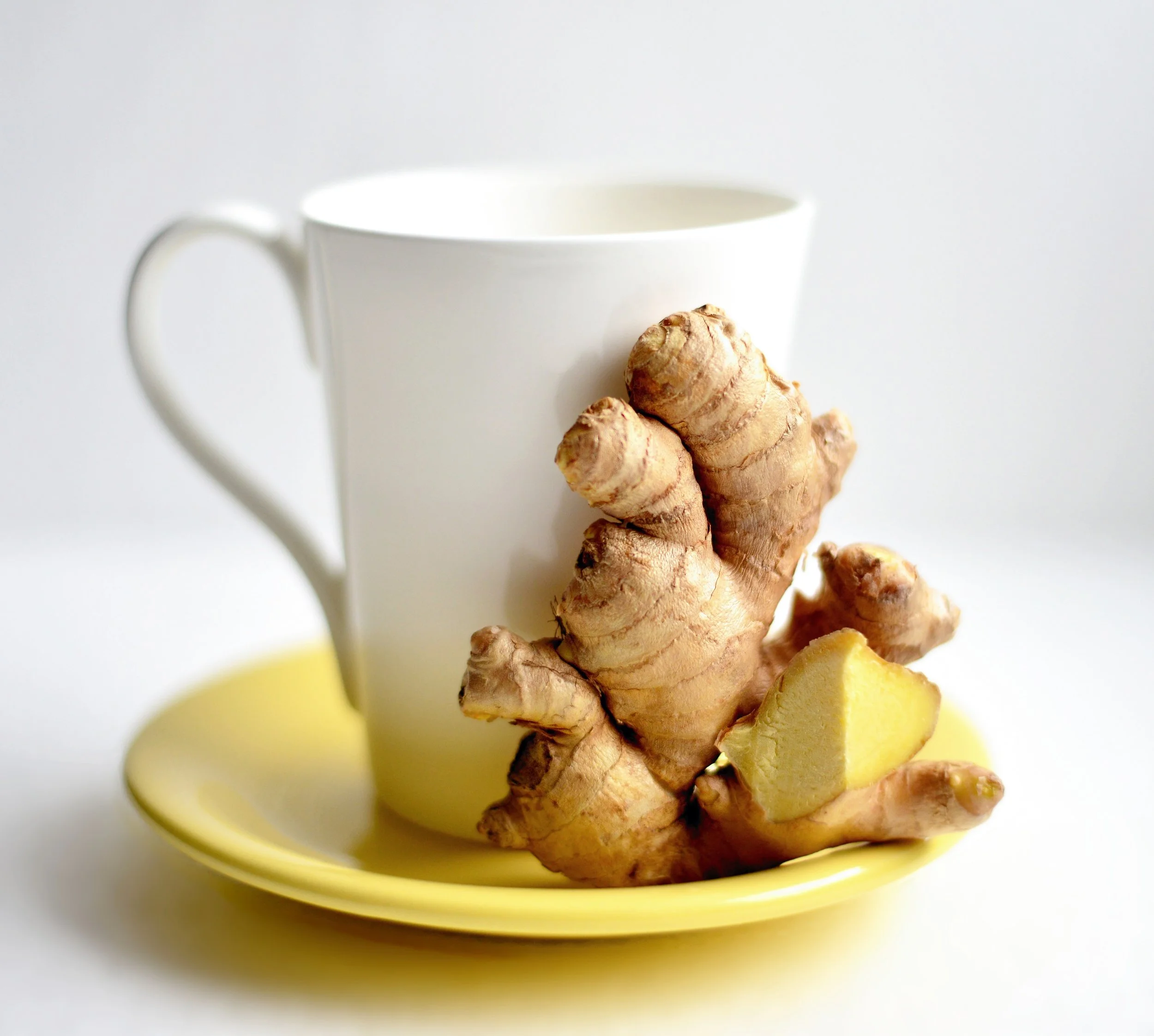 congerdesign-ginger-3966502.jpg