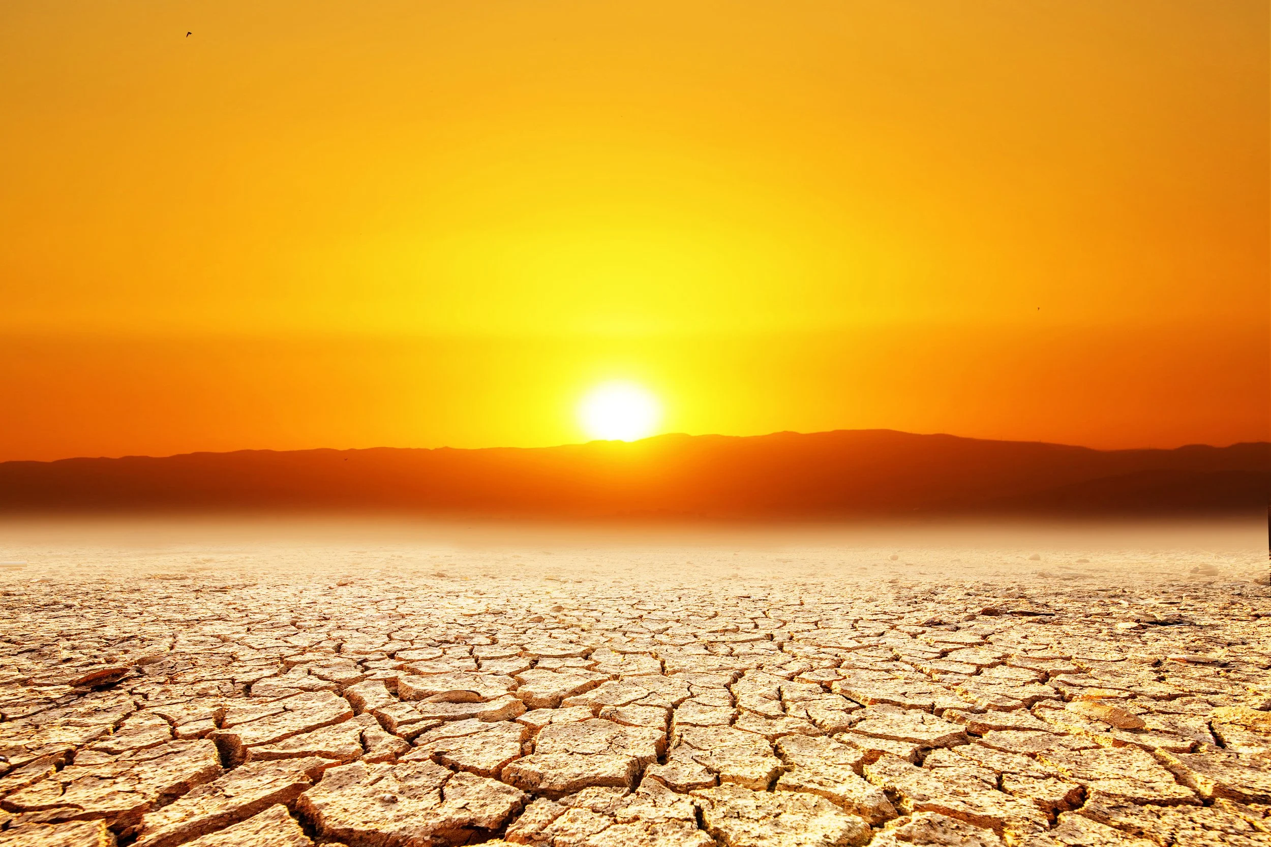 vecteezy_concept-of-global-warming-and-climate-environment-change_9273869.jpg