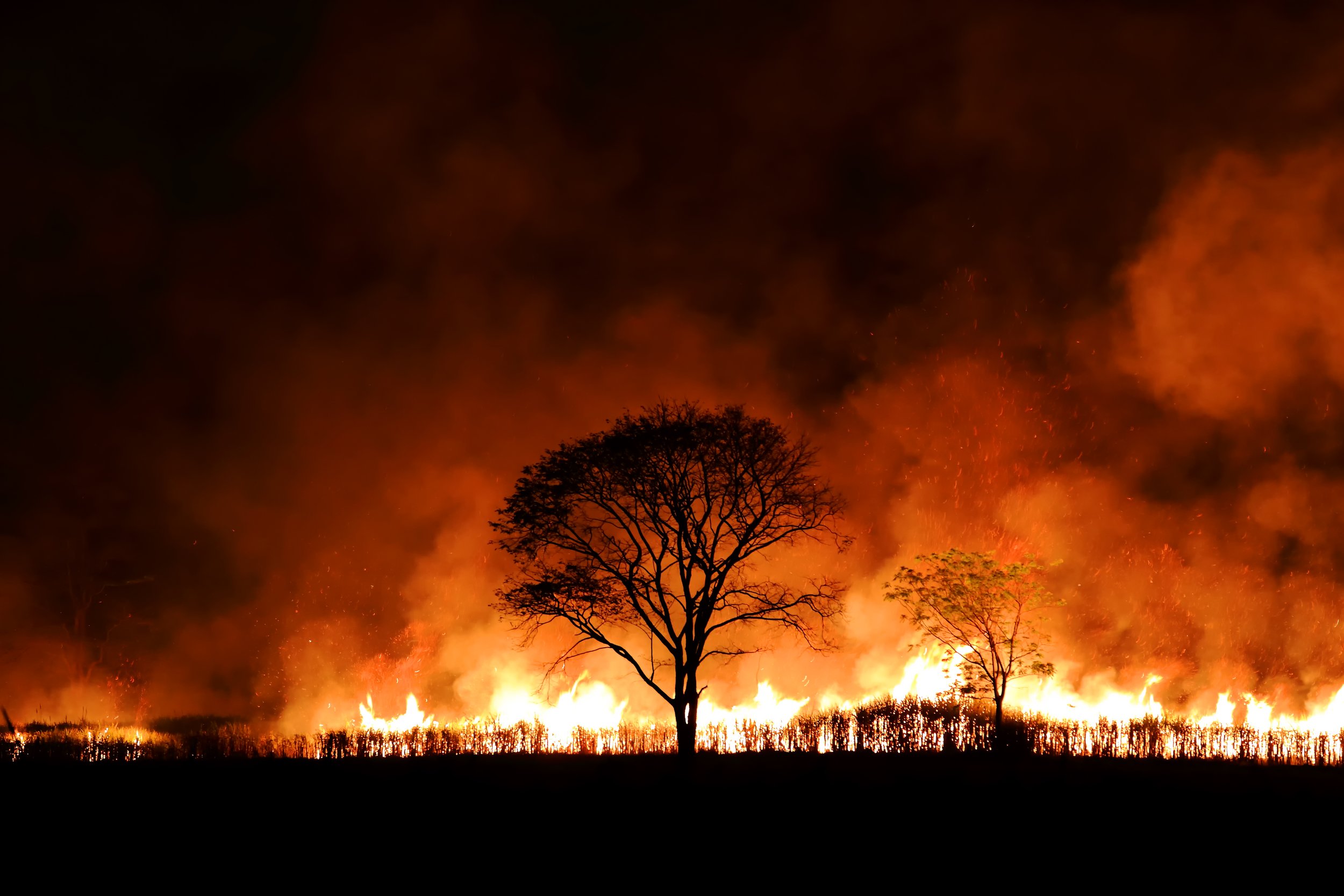 vecteezy_bushfire-burning-orange-and-red-smoke-filled-the-sky-at-night_9627937.JPG