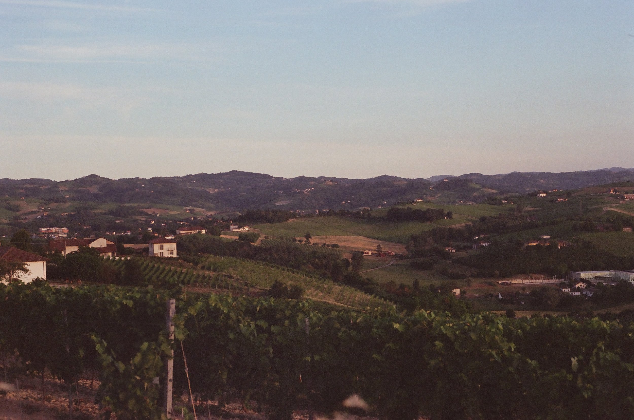 joe-little-monferrato-italy-vineyards-landscape.jpg.JPG