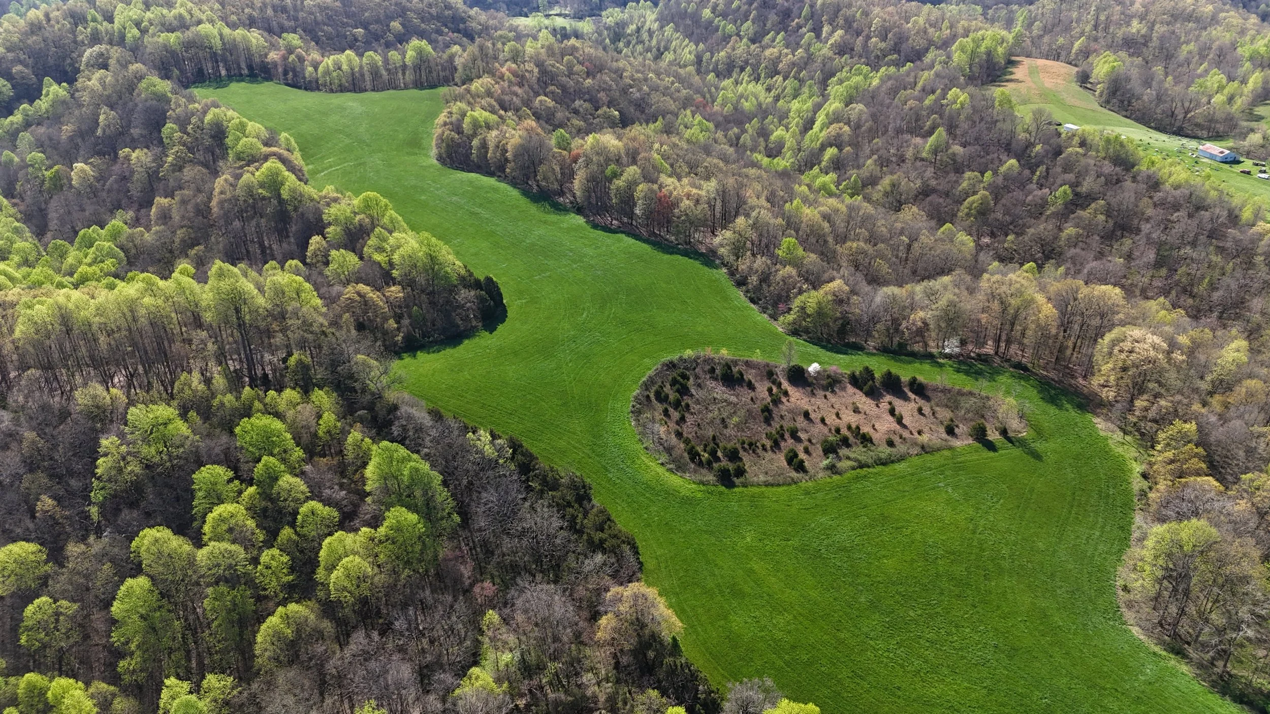 An aerial view of a landscape with a mix of dense trees, open green fields, and a small section of cultivated land with shrubs. There are some structures and vehicles visible in the distance.