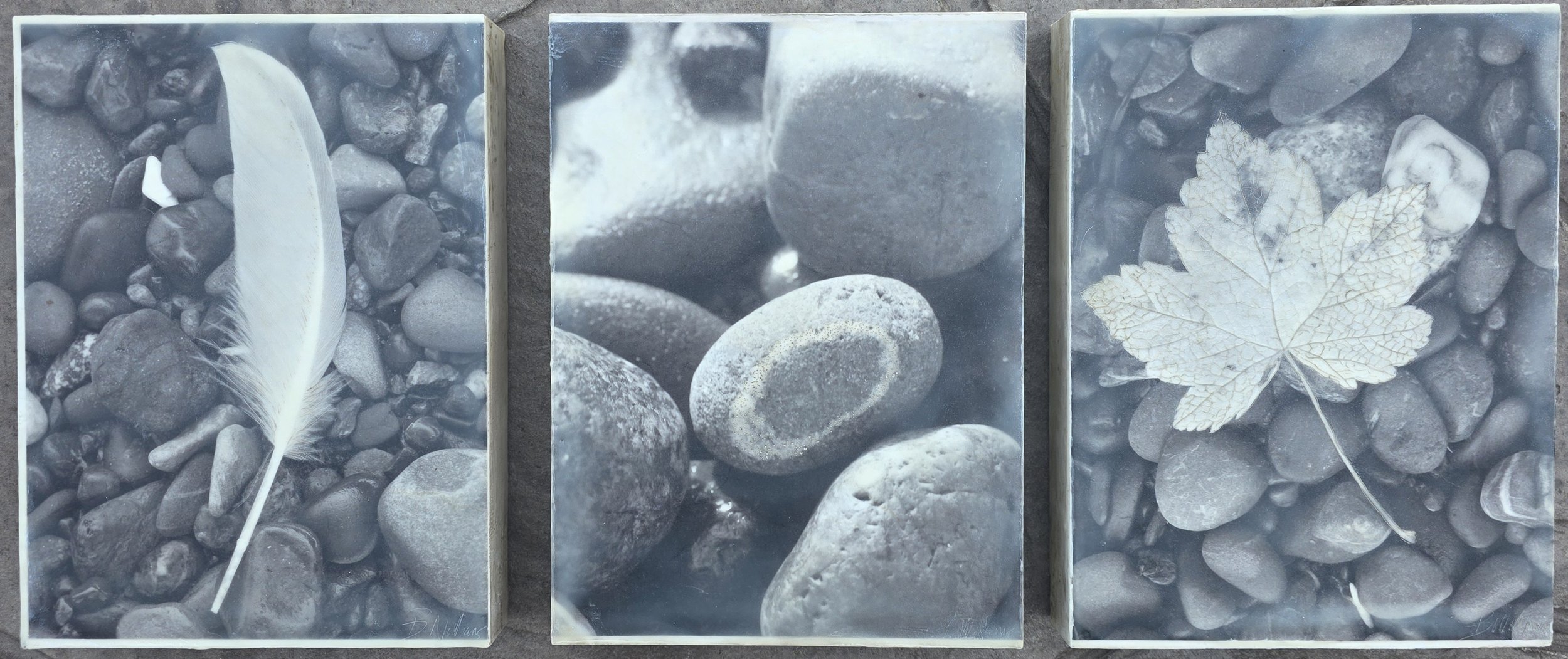 Flight-Structure-Growth (Triptych: set of three)